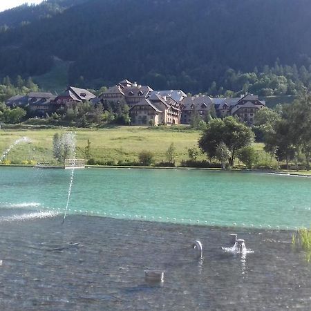 Appartement 24 Les Chalets Du Jardin Alpin La Salle-les-Alpes Exterior foto